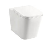 KDK-103 Ohio Wall Faced Pan And Seat