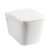 KDK-303 Ohio Wall Hung Pan And Seat