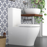 CAROMA Luna Wall Faced Toilet Suite - Back Entry