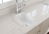TURNER HASTINGS Cuisine 30x46 Inset/Undermount Fine Fireclay Sink
