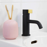 Round Blade Basin Mixer-Chrome/ Black/ Black Brass