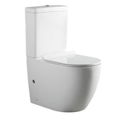 ALEXANDER-R RIMLESS NANO-GLAZE Toilet Suite from Display