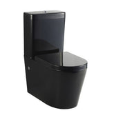 Black Wall Faced Toilet Suite