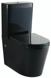 Black Wall Faced Toilet Suite