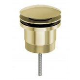 Mushroom Pop Up Universal Waste - Brushed Gold