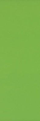B10304 ZULU LIME GREEN GLOSS 100X300
