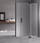 Beast Frameless Pivot Door System