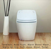 THRONE KING Ceramic Smart Bidet Toilet