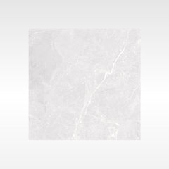 Apex Silver 600x600 Polish Apex Silver 600x600 Polish