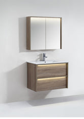 NEON wall hung vanity In 750mm with LED lights