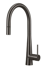 ESSENTE Stainless Steel Goose Neck Pull Out Mixer
