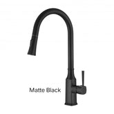 LEENA Pull Out Kitchen Mixer In Chrome Or Matte Black
