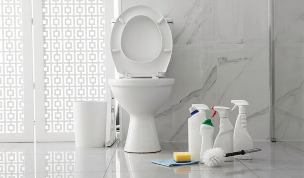 How to Clean and Maintain Your Toilet Seat: Tips for Long-Lasting Hygiene
