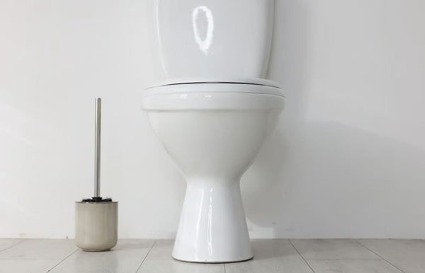 How to Maintain and Care for Your Traditional Toilet
