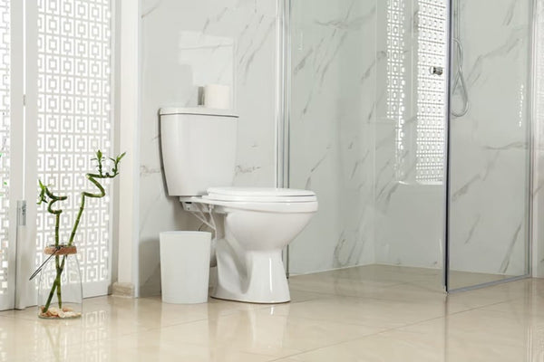 Why Traditional Toilets Are Still a Popular Choice for Modern Bathrooms?
