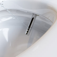 THRONE KING Ceramic Smart Bidet Toilet