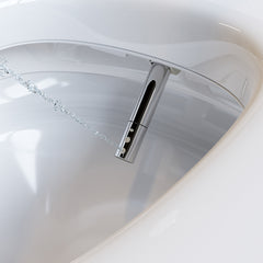 THRONE KING Ceramic Smart Bidet Toilet