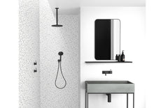Phoenix VIVID Hand Shower In Chrome - Matte Black - Brushed Gold - Brushed Nickel - Gunmetal