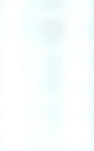 NOWRA GLOSS WHITE 250X400