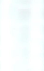 NOWRA GLOSS WHITE 250X400