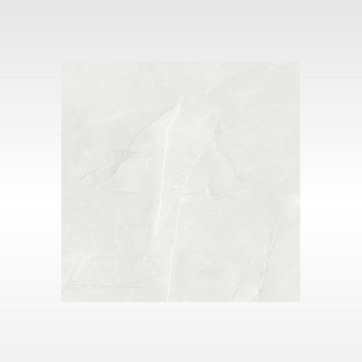 Vienna Ivory 600x1200 Soft Matt