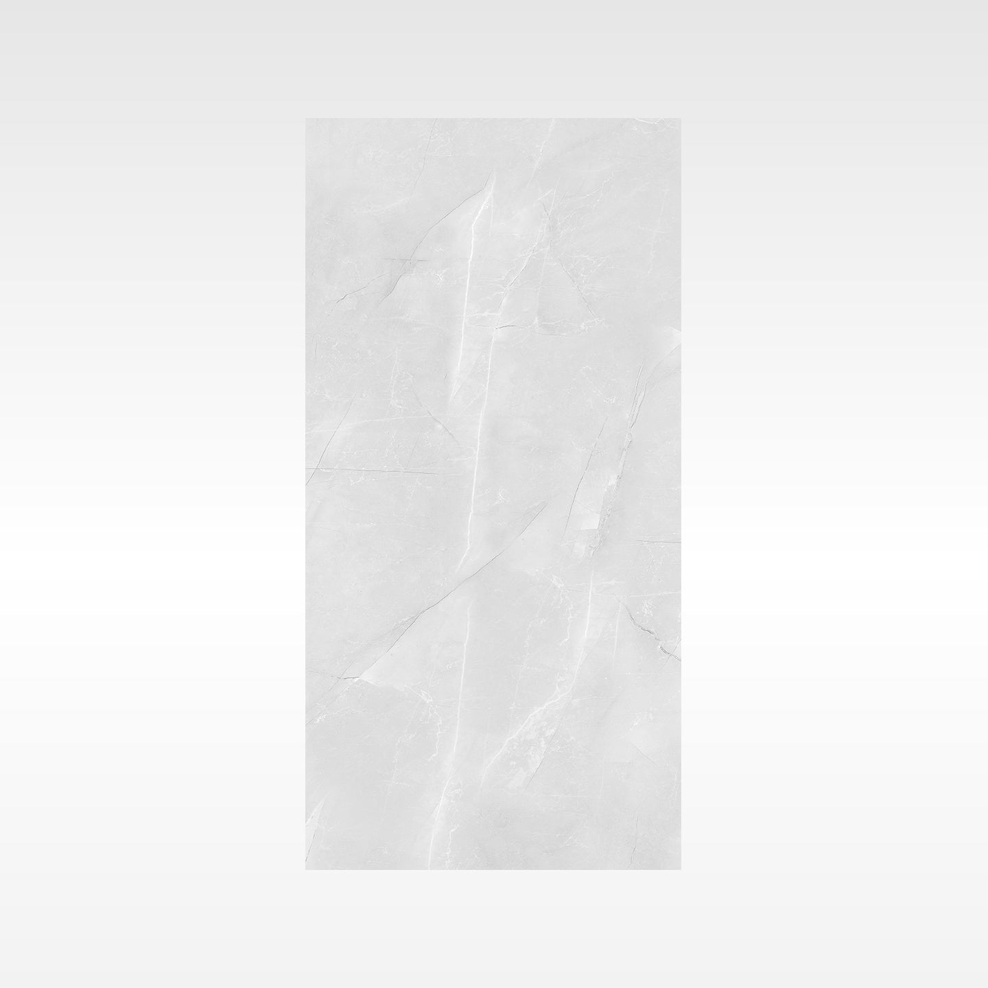 Vienna Grey 600x600 Polish