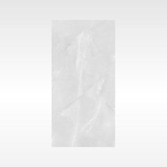 Vienna Grey 600x600 Polish