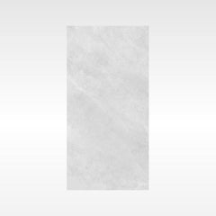 Ionic Grey 300x600 Matt