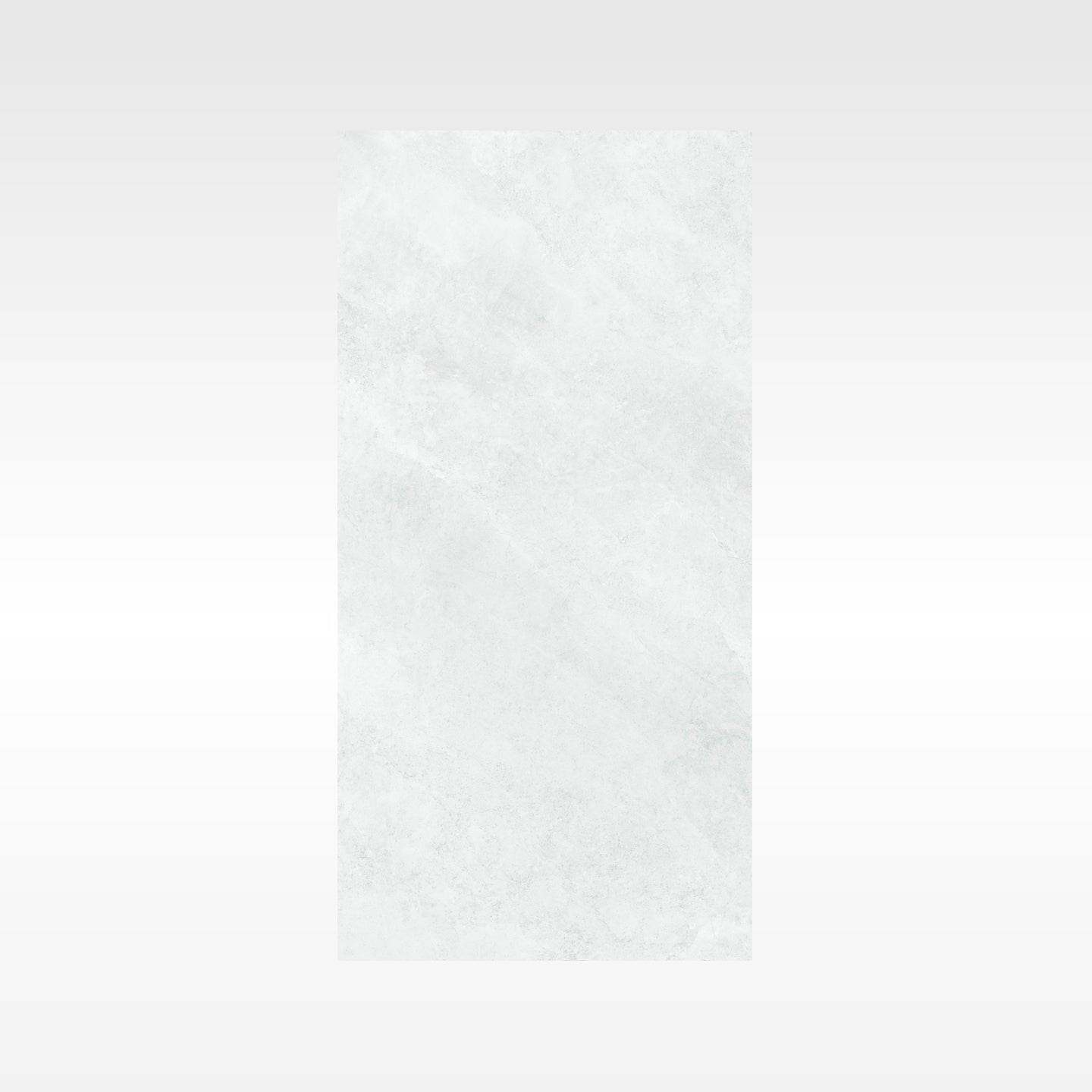 Ionic Grey 300x600 Matt