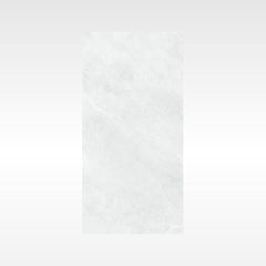 Ionic Grey 300x600 Matt