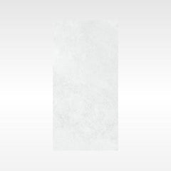 Ionic Grey 300x600 Matt