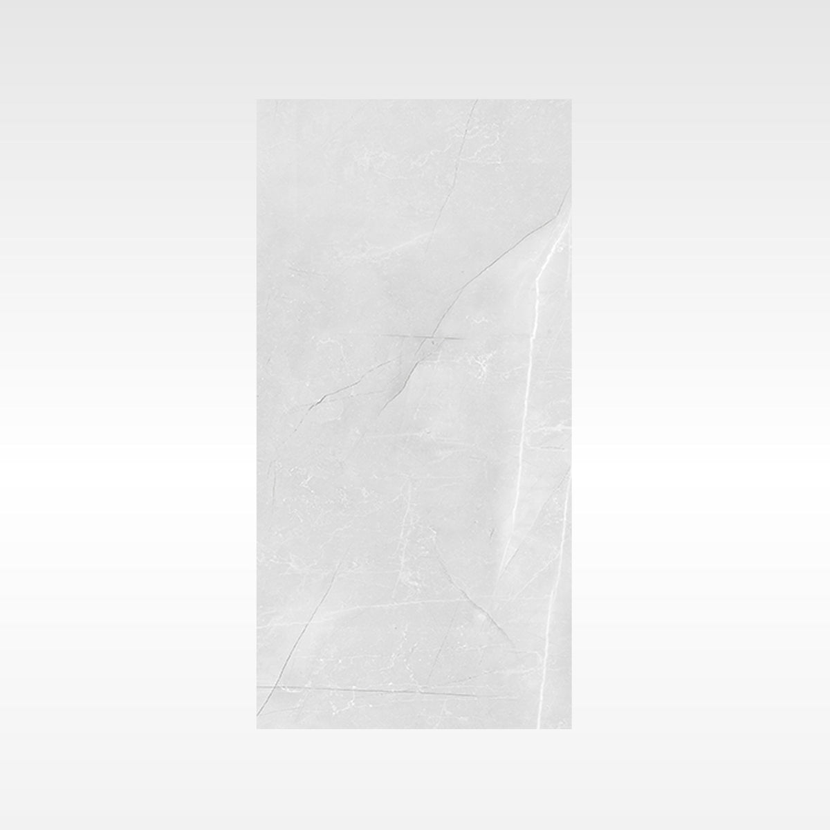 Vienna Grey 600x600 Polish