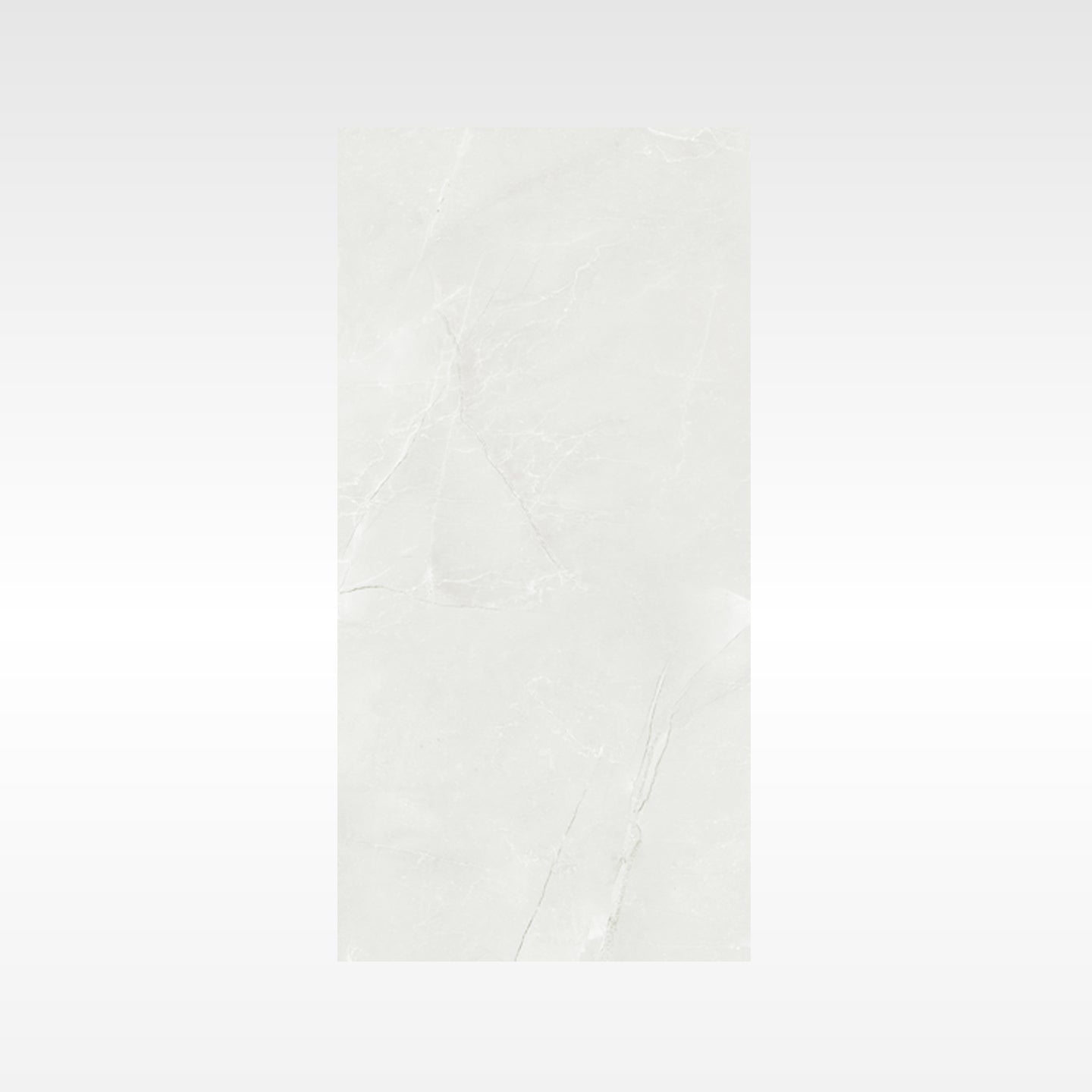 Vienna Grey 600x600 Polish