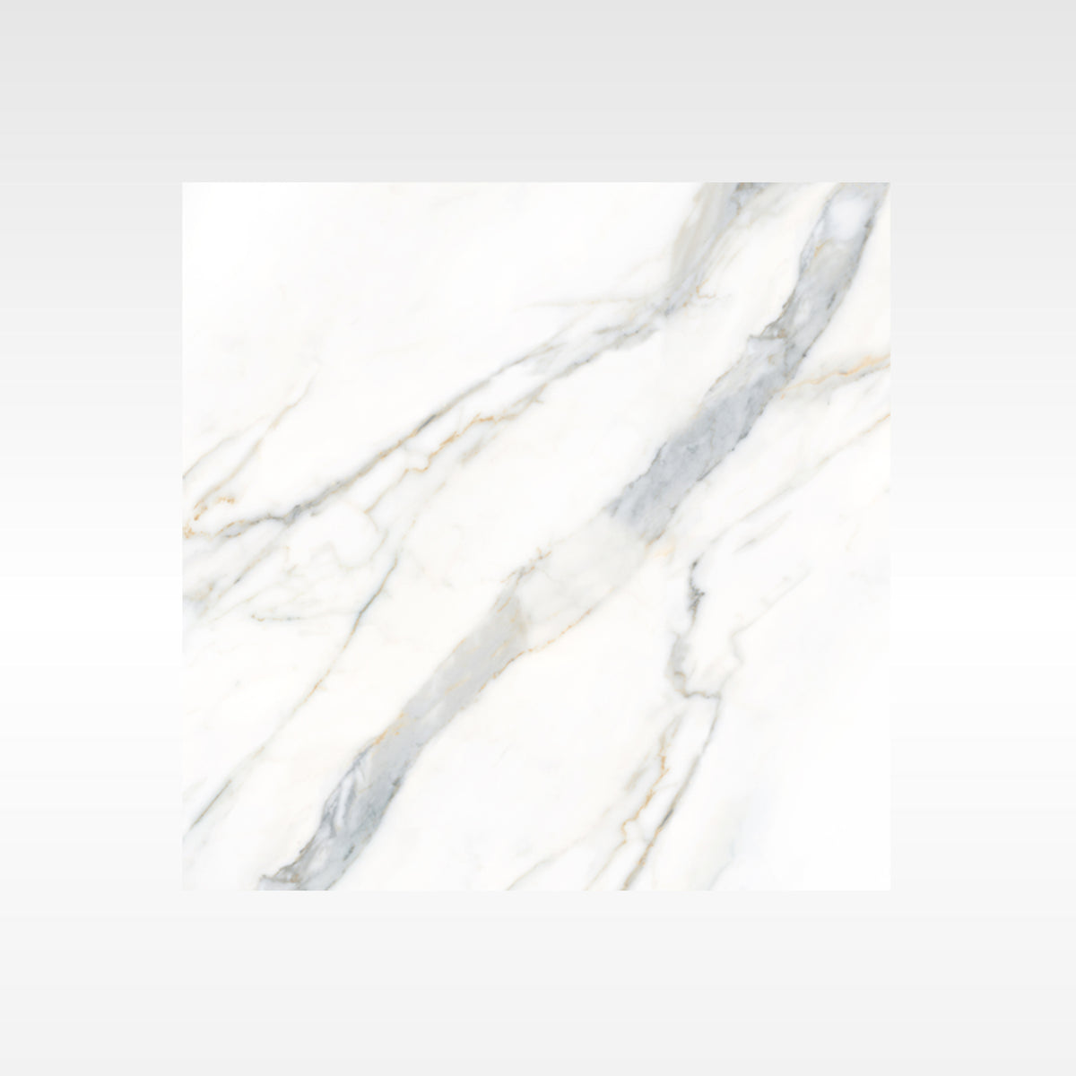 Calacatta Gold 300x600 Polish