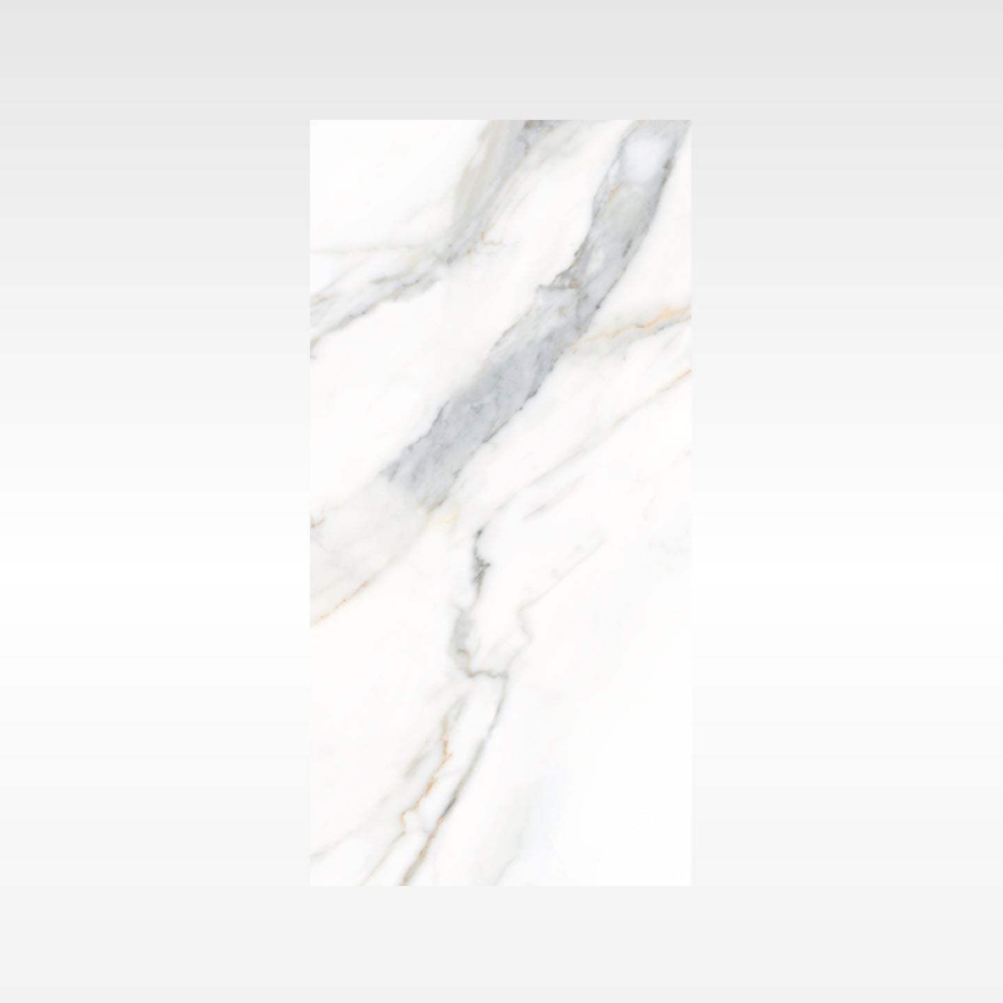 Calacatta Gold 300x600 Polish