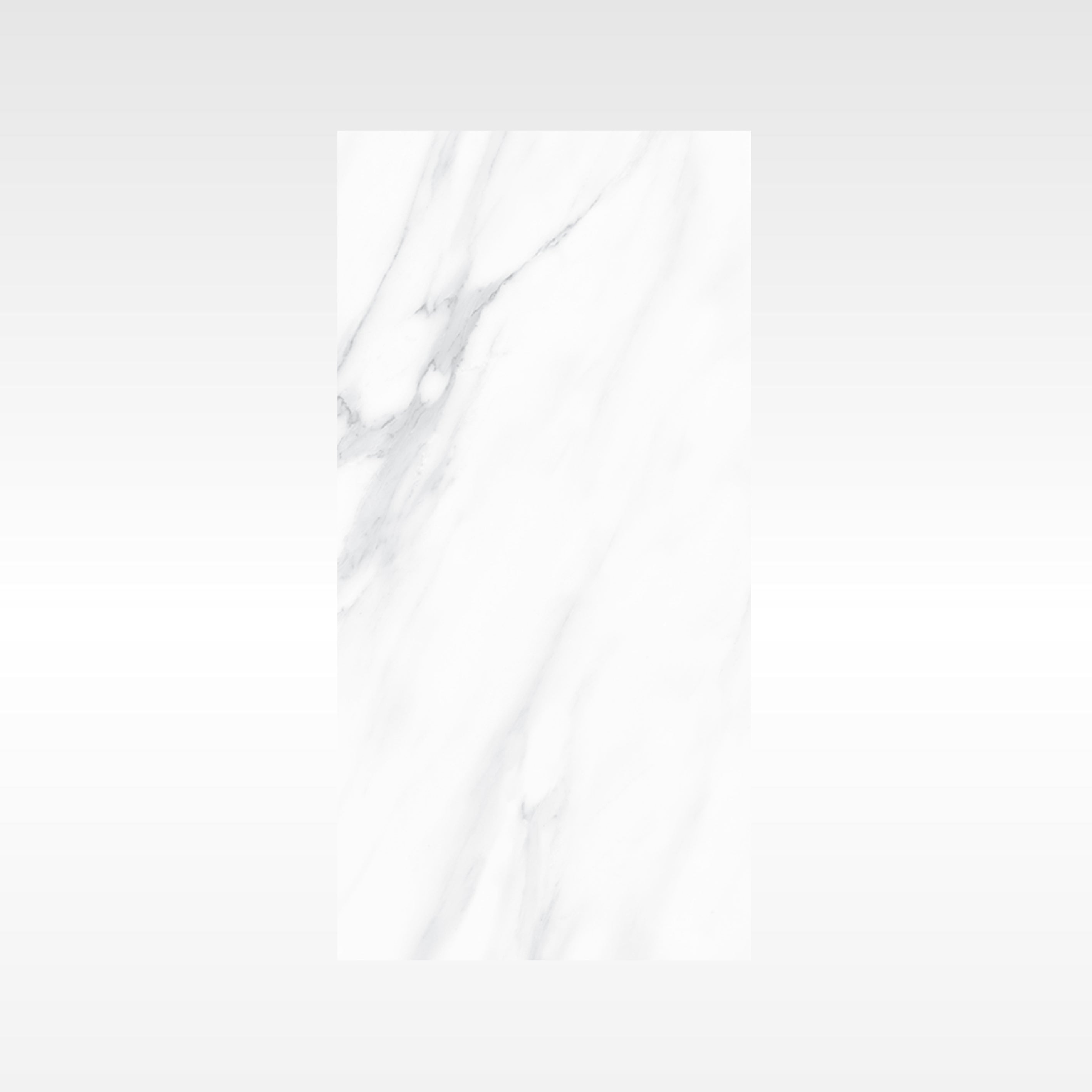 SnowWhite Grey 300x600 Polish