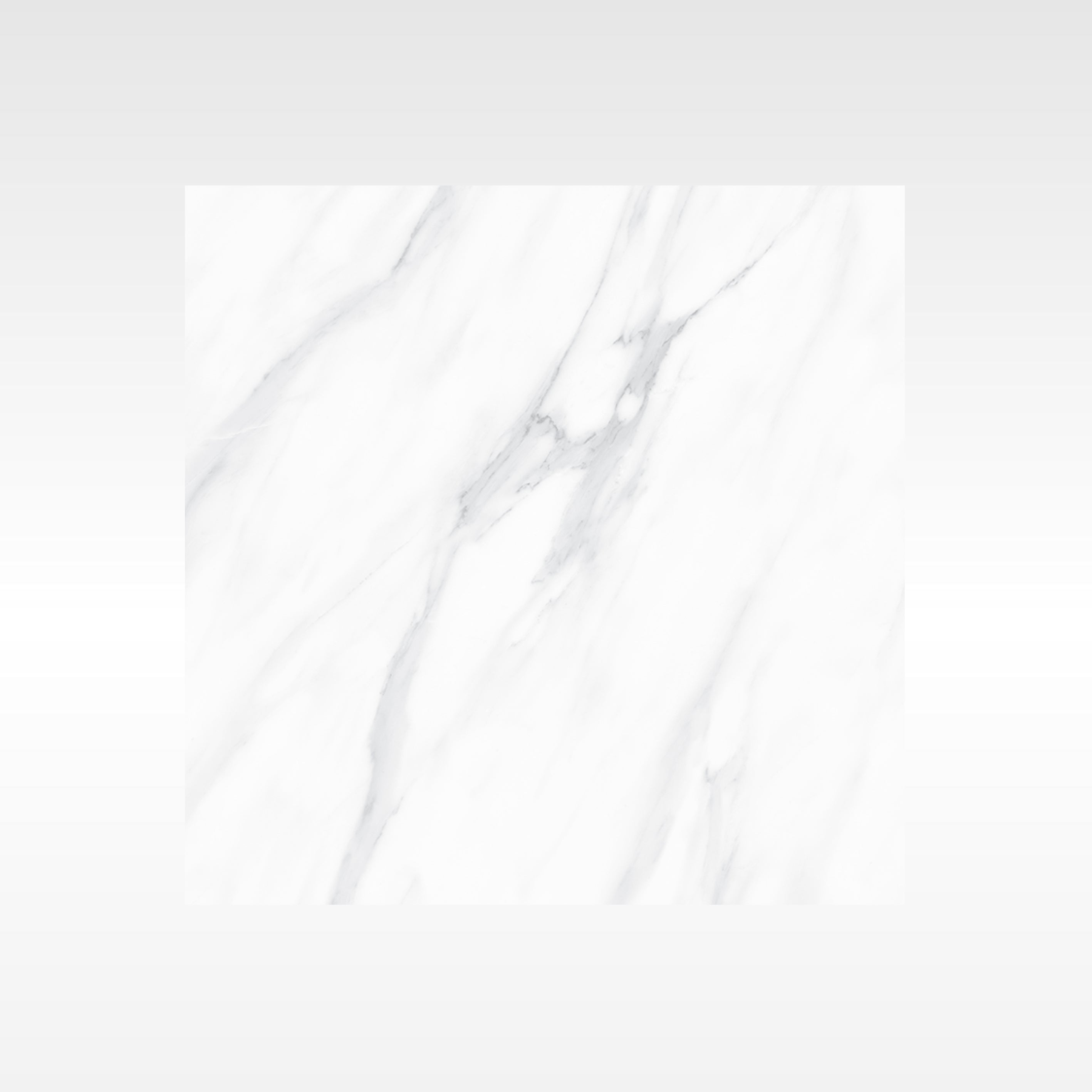 SnowWhite Grey 300x600 Polish