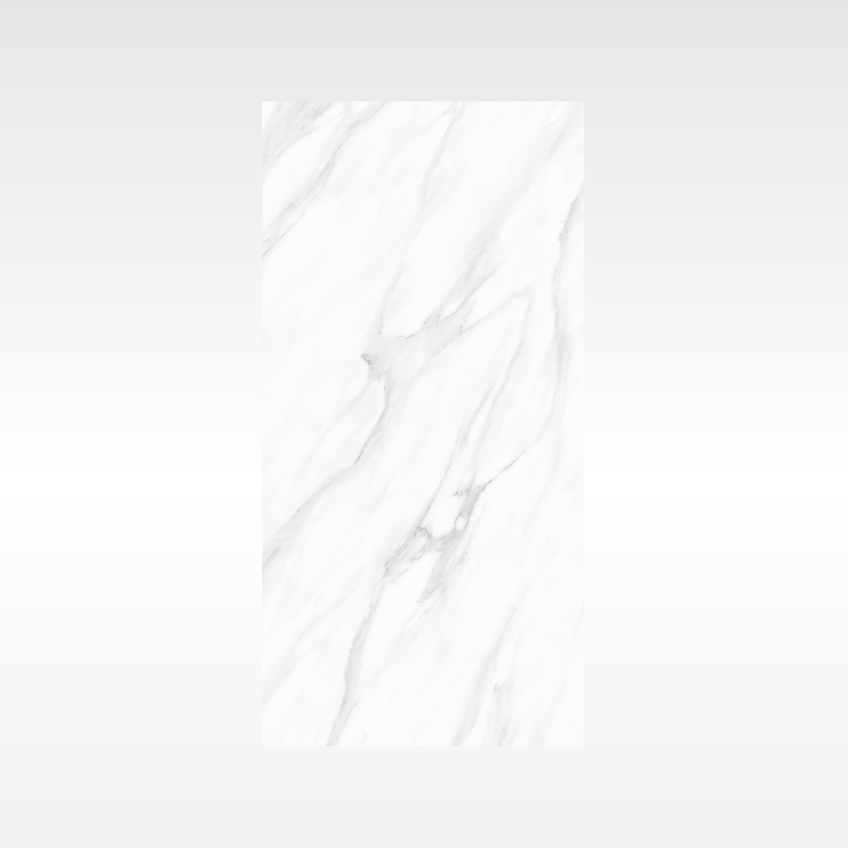 SnowWhite Grey 300x600 Polish