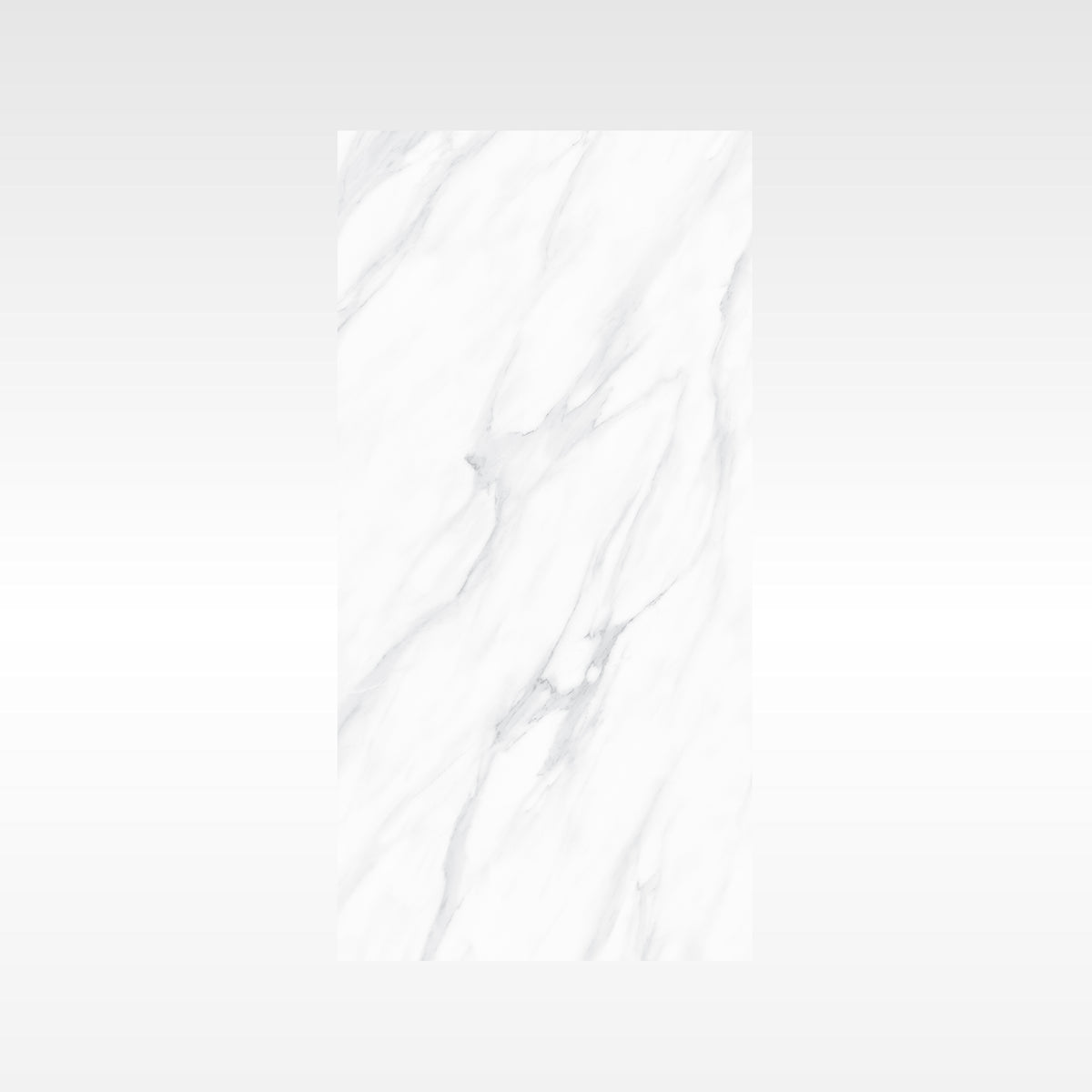 SnowWhite Grey 300x600 Polish