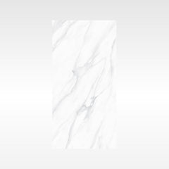 SnowWhite Grey 300x600 Polish