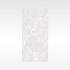 Apex Silver 600x600 Polish