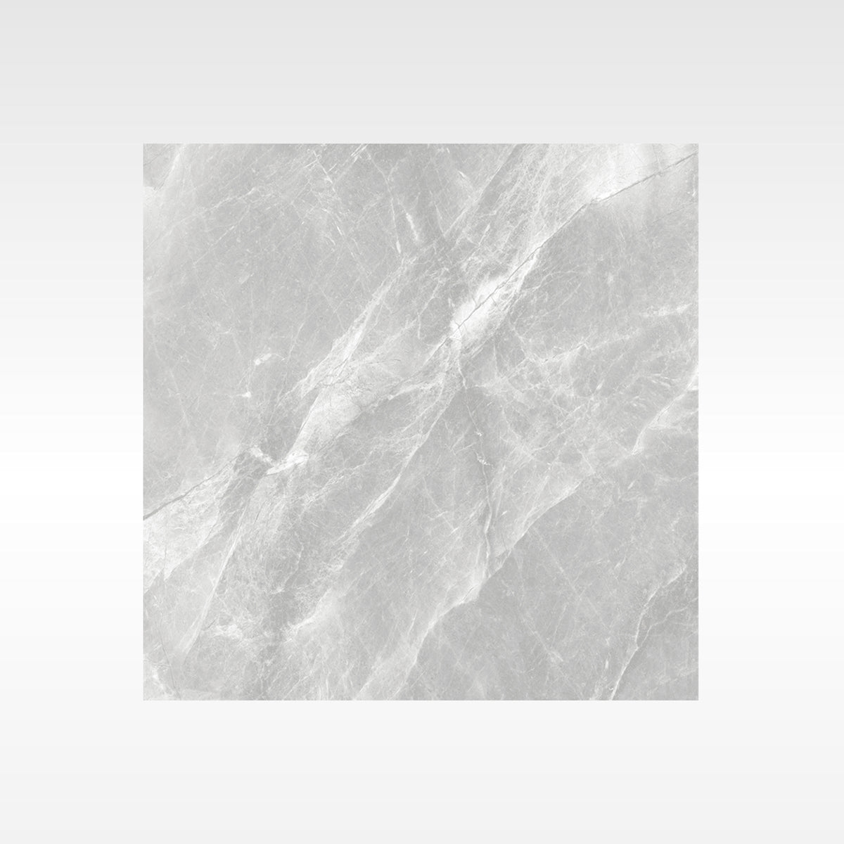 Fg Grey 300x600 Matt