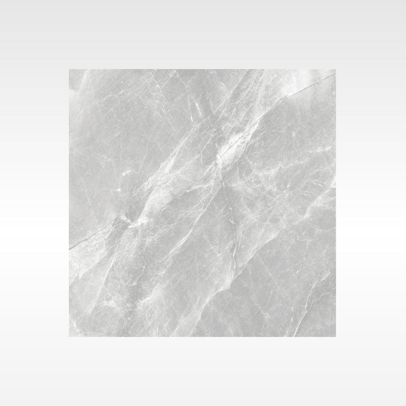 Fg Grey 300x600 Matt