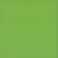 ZULU LIME GREEN GLOSS 100X100