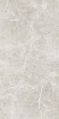 OB6304P OCEAN SILVER POLISHED 300X600