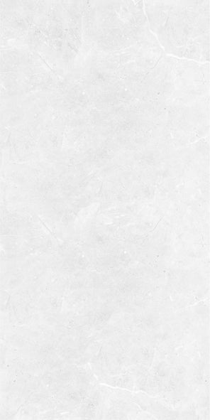 OB6304P OCEAN SILVER POLISHED 300X600
