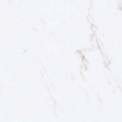TR3302M PALACE CALACATTA MATT 300X300