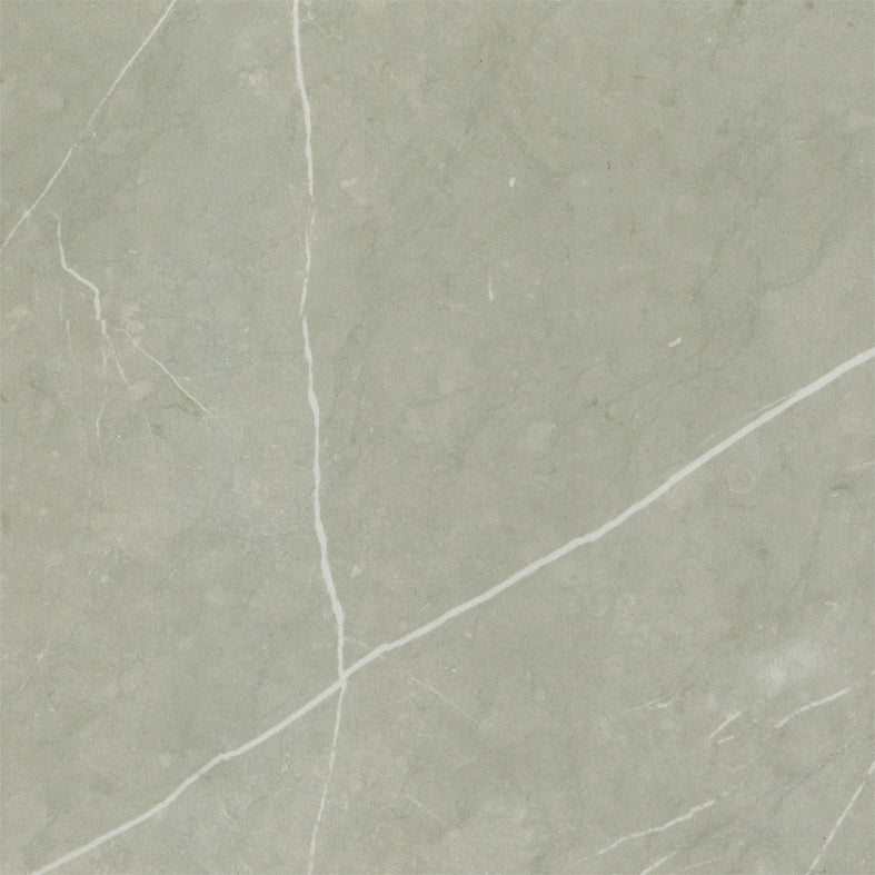 SBP3001 SUBURBAN PROJECT WHITE MATT 300X300