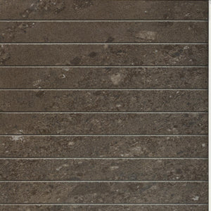 GRANITO (LIMESTONE 30C9) BEIGE LAPPATO DECOR 300X300