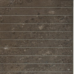 GRANITO (LIMESTONE 30C9) BEIGE LAPPATO DECOR 300X300